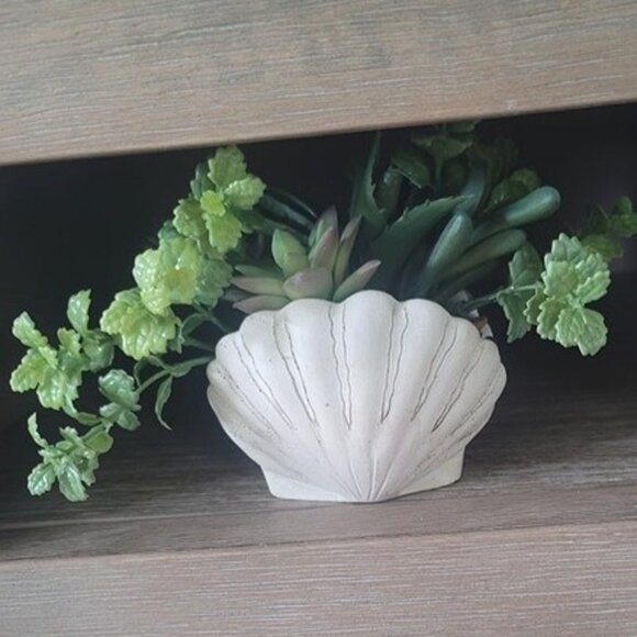 NEW Set of 2, Assorted Faux Succulents Artificial Plants with Sea Shell Pots - Picture 2 of 8